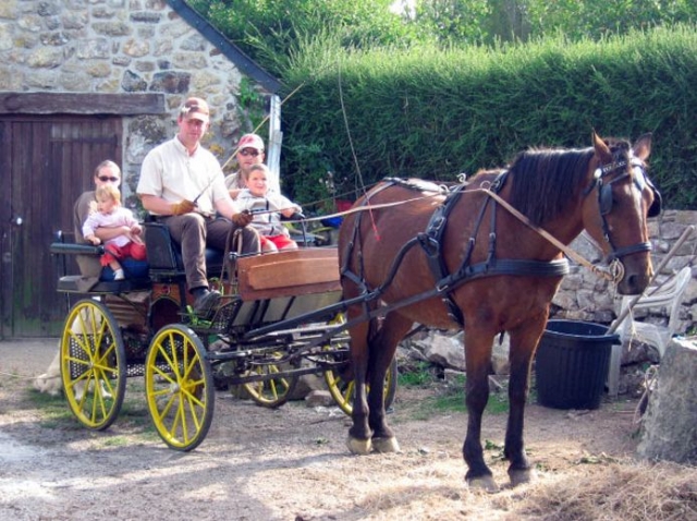  Ideal für Familien 